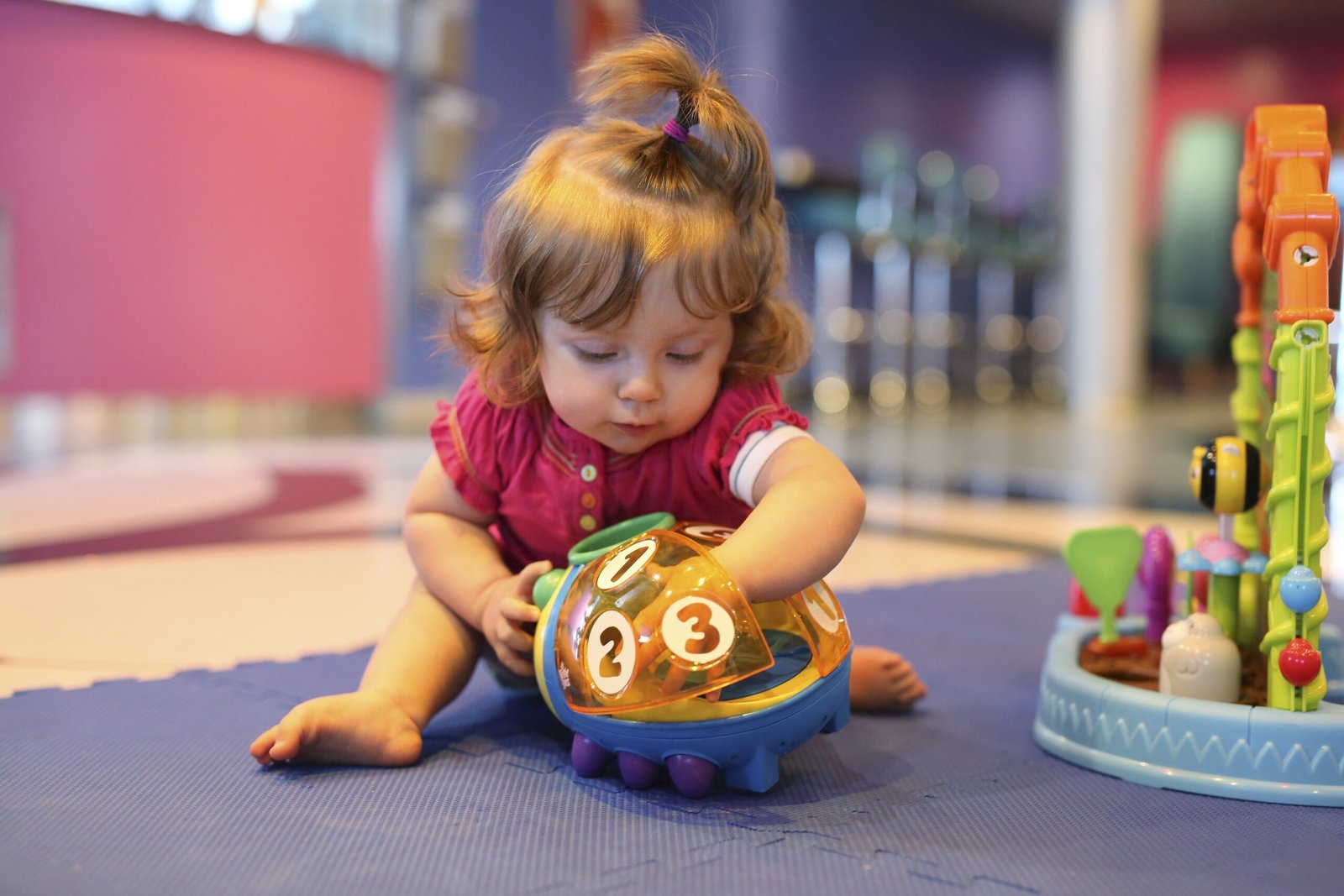 Educação Infantil