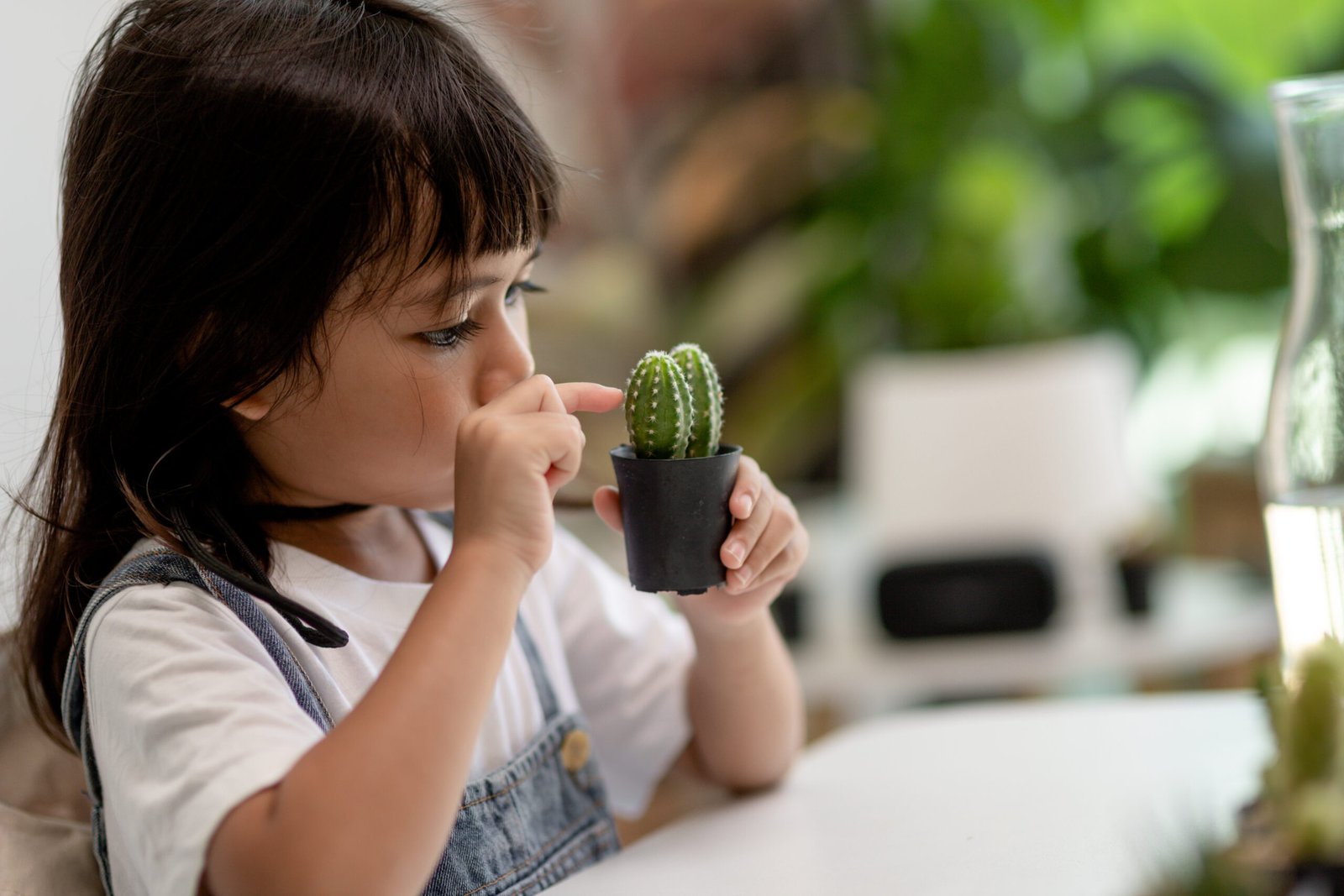 Kid gently touches the new stem of the cactus he grows with care